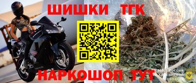 СК Можга